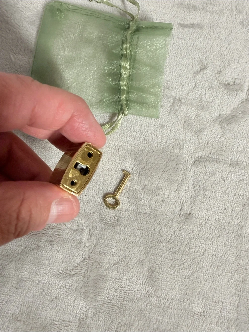 Gold Padlock and Key Set with Light Green Organza Pouch